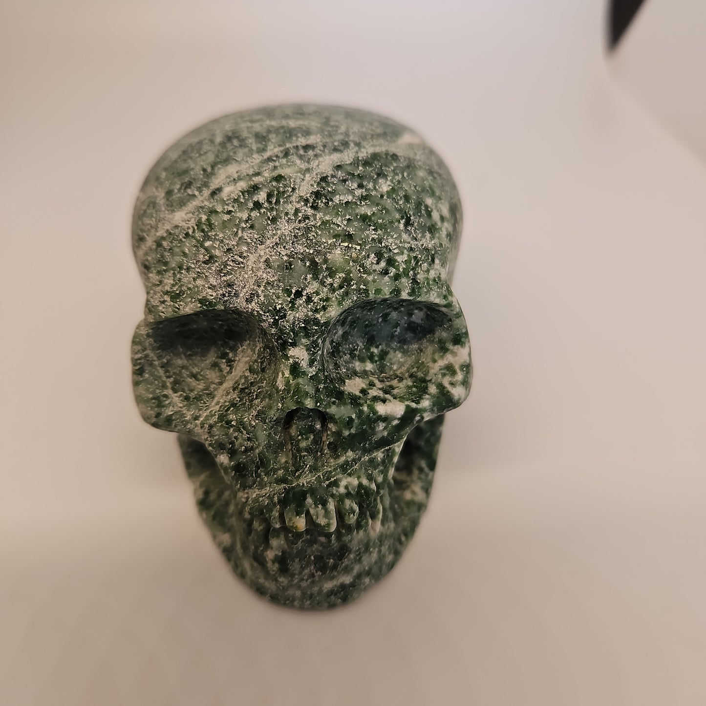 Tree agate skull